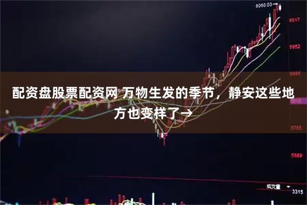 配资盘股票配资网 万物生发的季节，静安这些地方也变样了→